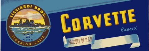 Corvette   